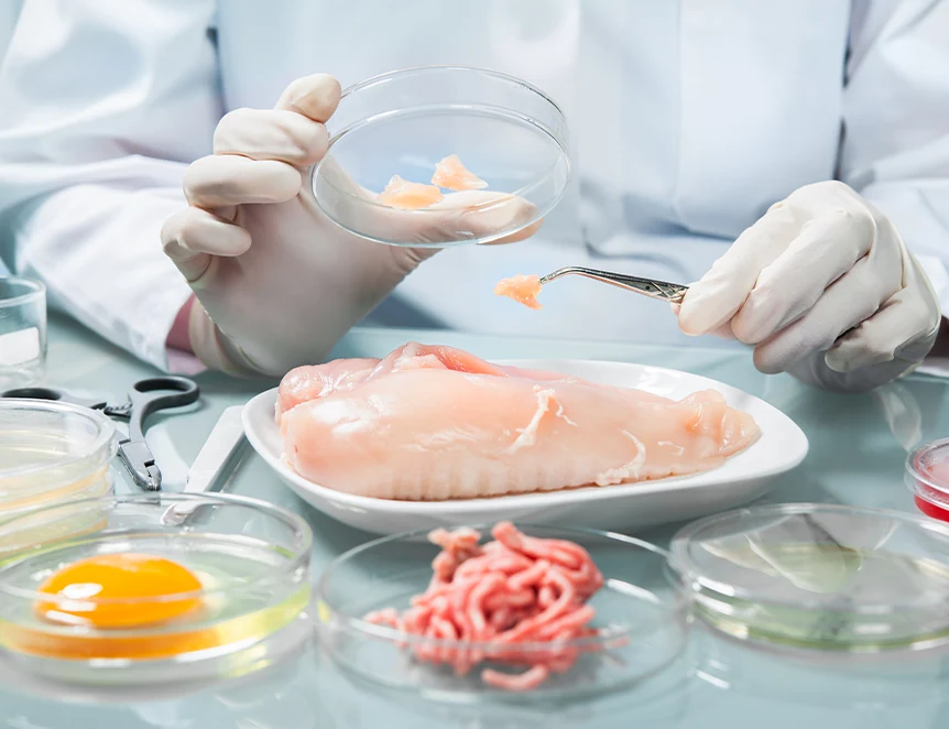 Securite alimentaire